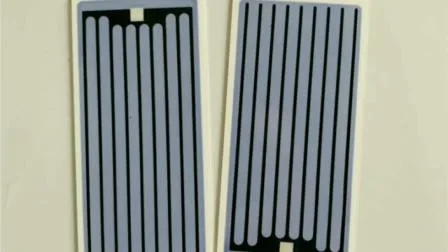 Waterproof 5g Air Cooling Ceramic Ozone Plate for Ozono Generator with Mounting Base